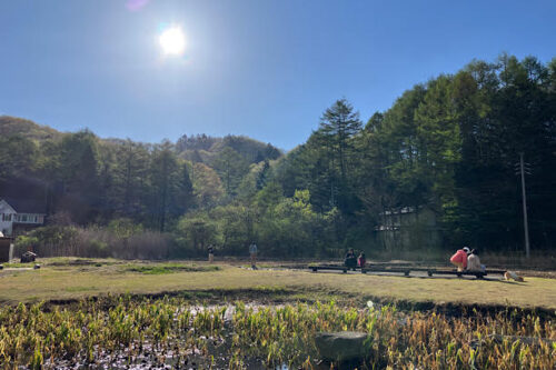 田んぼと山の大自然
